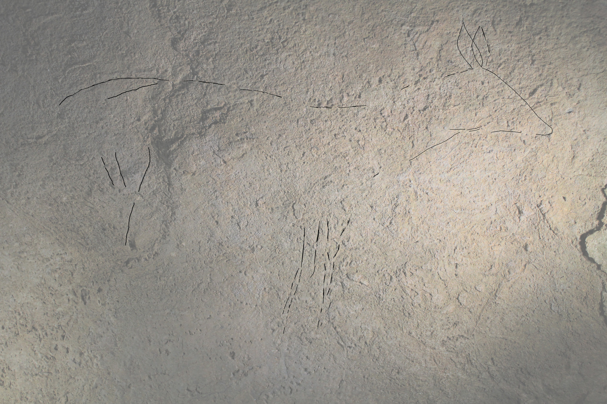 Hallazgo de arte parietal en la cueva de Arbil V (Deba, Gipuzkoa)