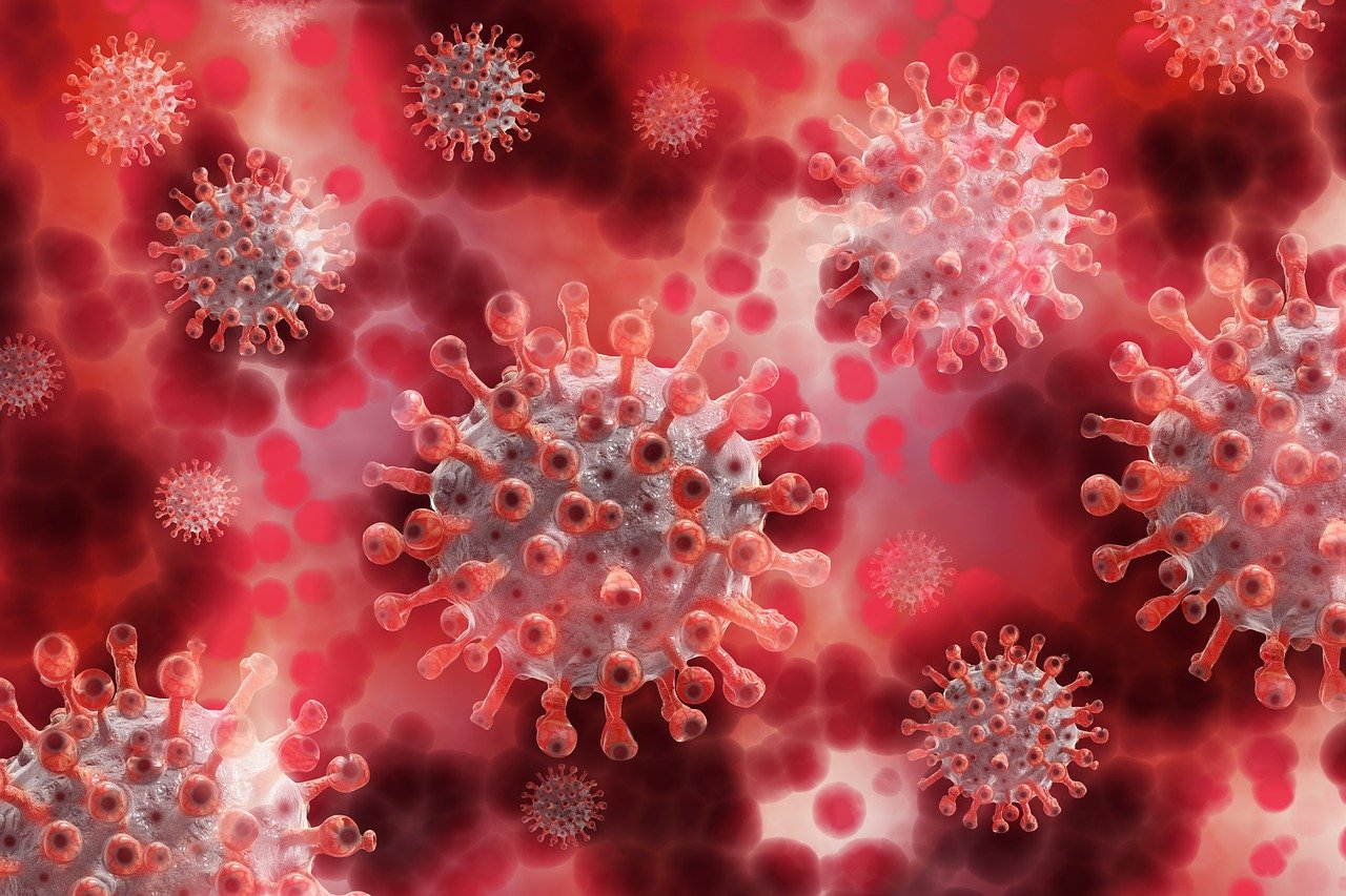 Coronavirus organismoan