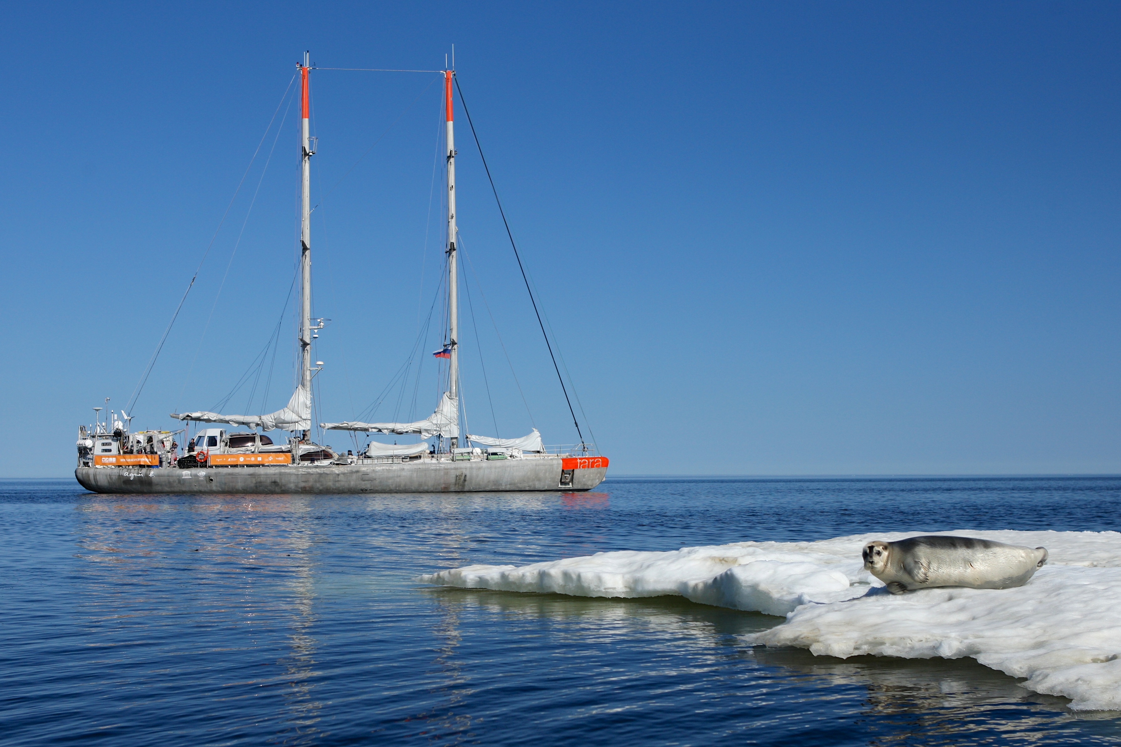 Collection of micro-plastics in the Arctic Ocean