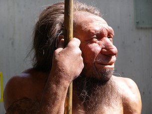 Homo Neanderthalensis