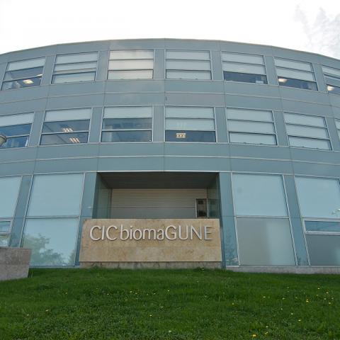 Ikerbasque Professors Liz Marzán and Prato among the Highly Cited Researchers