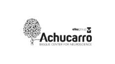 Achucarro