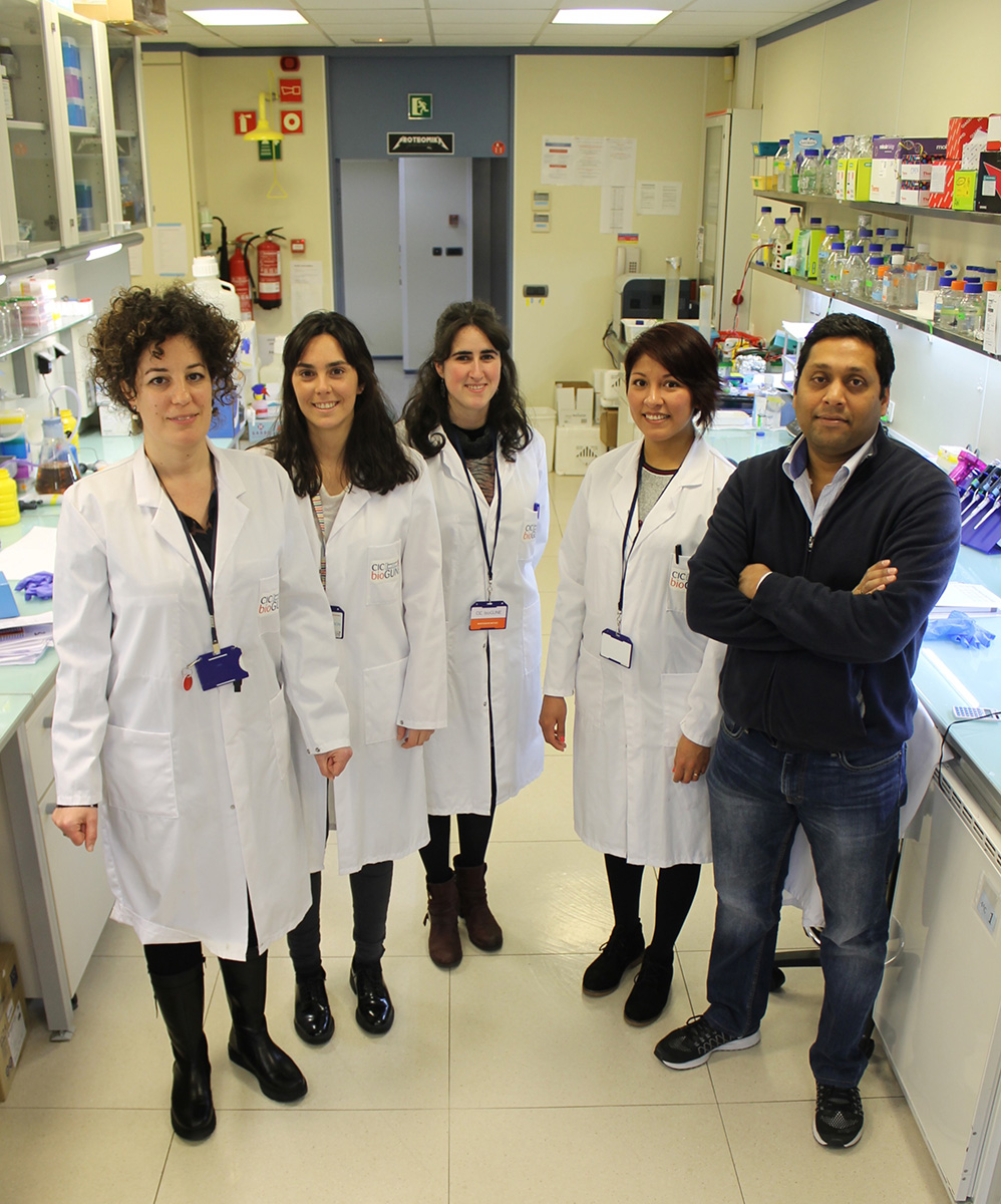 Nerve regeneration after injuries Nerve regeneration after injuries